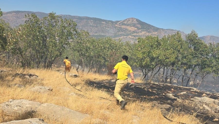 diyarbakirda orman ve ortu yangini c4cFayeO