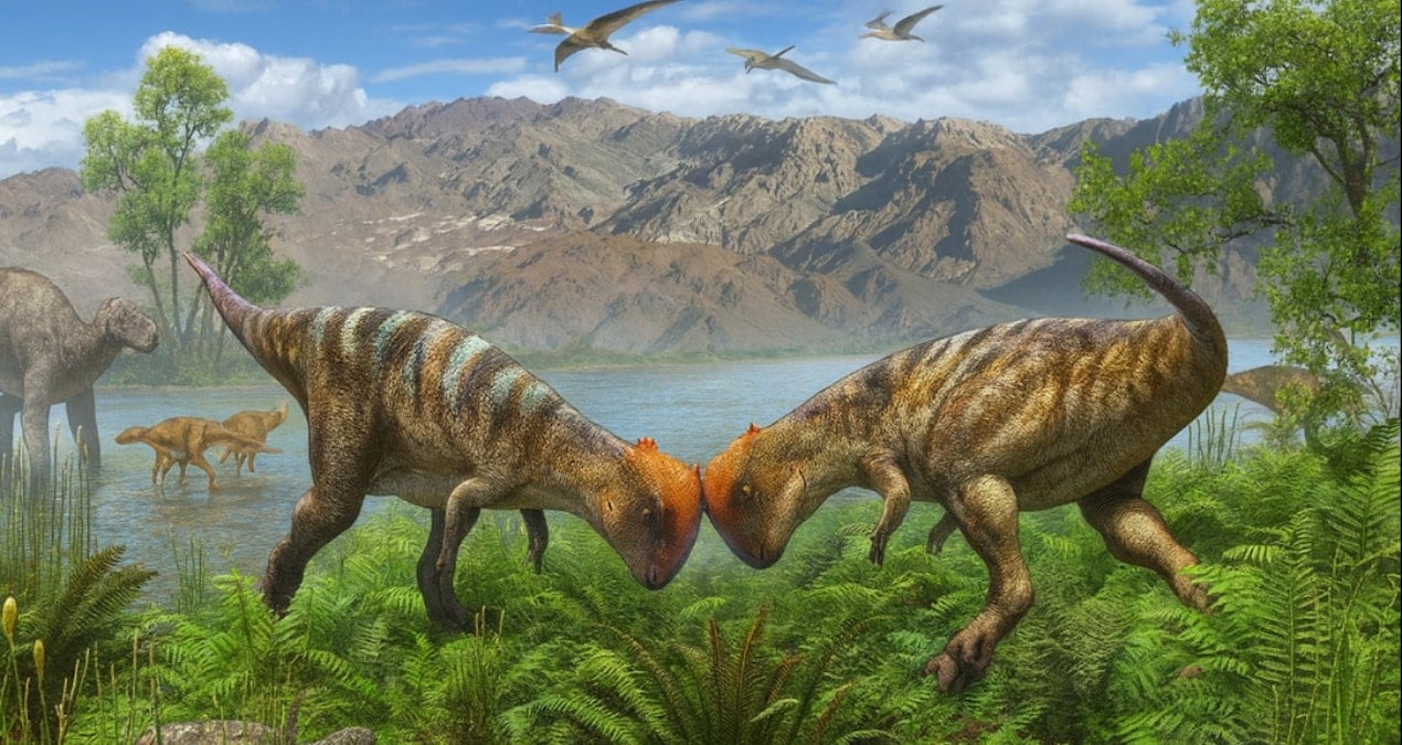 kaya parcasindan 115 milyon yillik tarih cikti bilim dunyasi saskin 5QBRc42Z