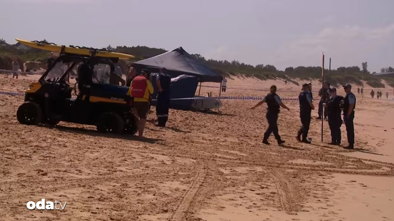 sydneyde kopekbaligi dehseti 1 olu MnUTegQH