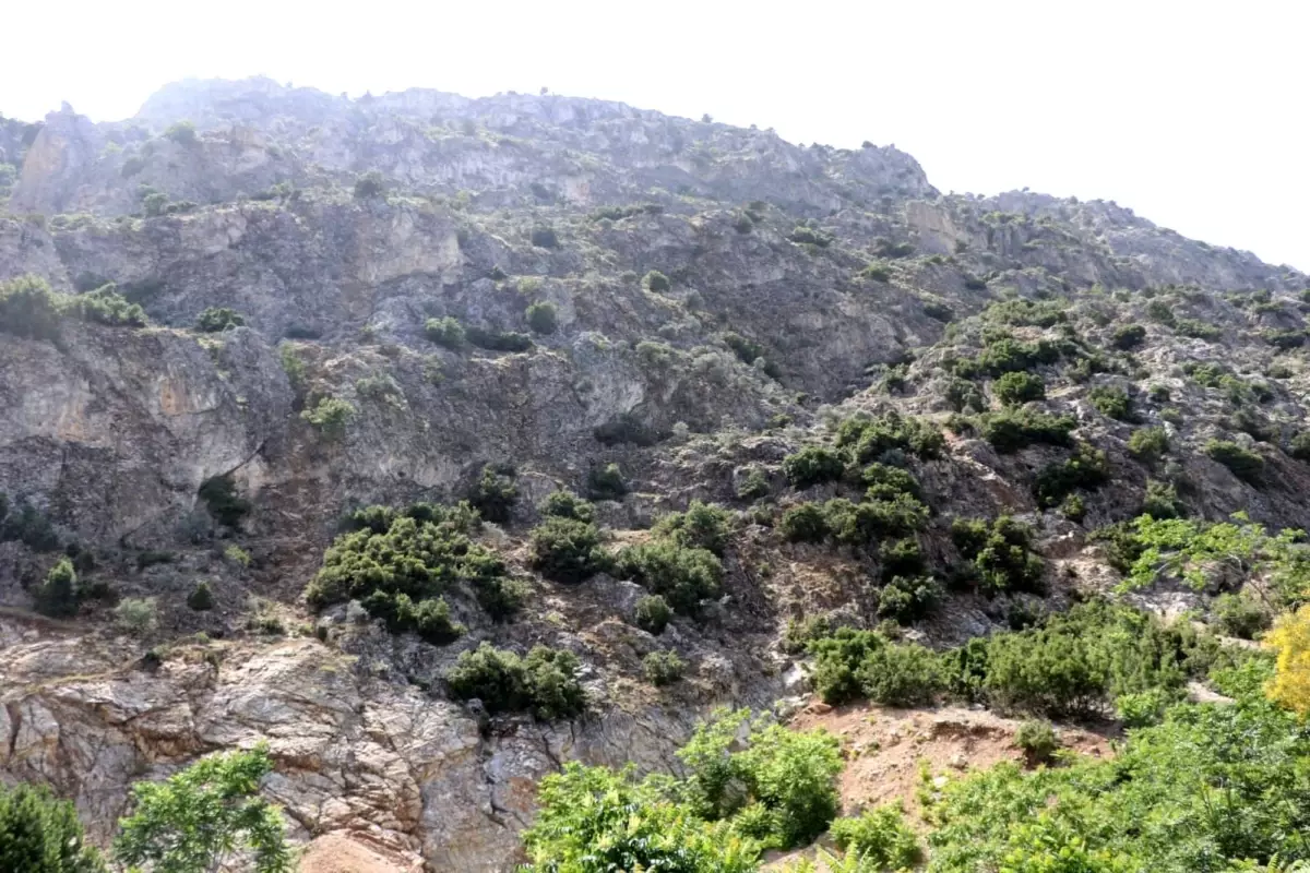 ispartada kaybolan 75 yasindaki adam icin arama calismalari baslatildi UIZWRgVt.jpg