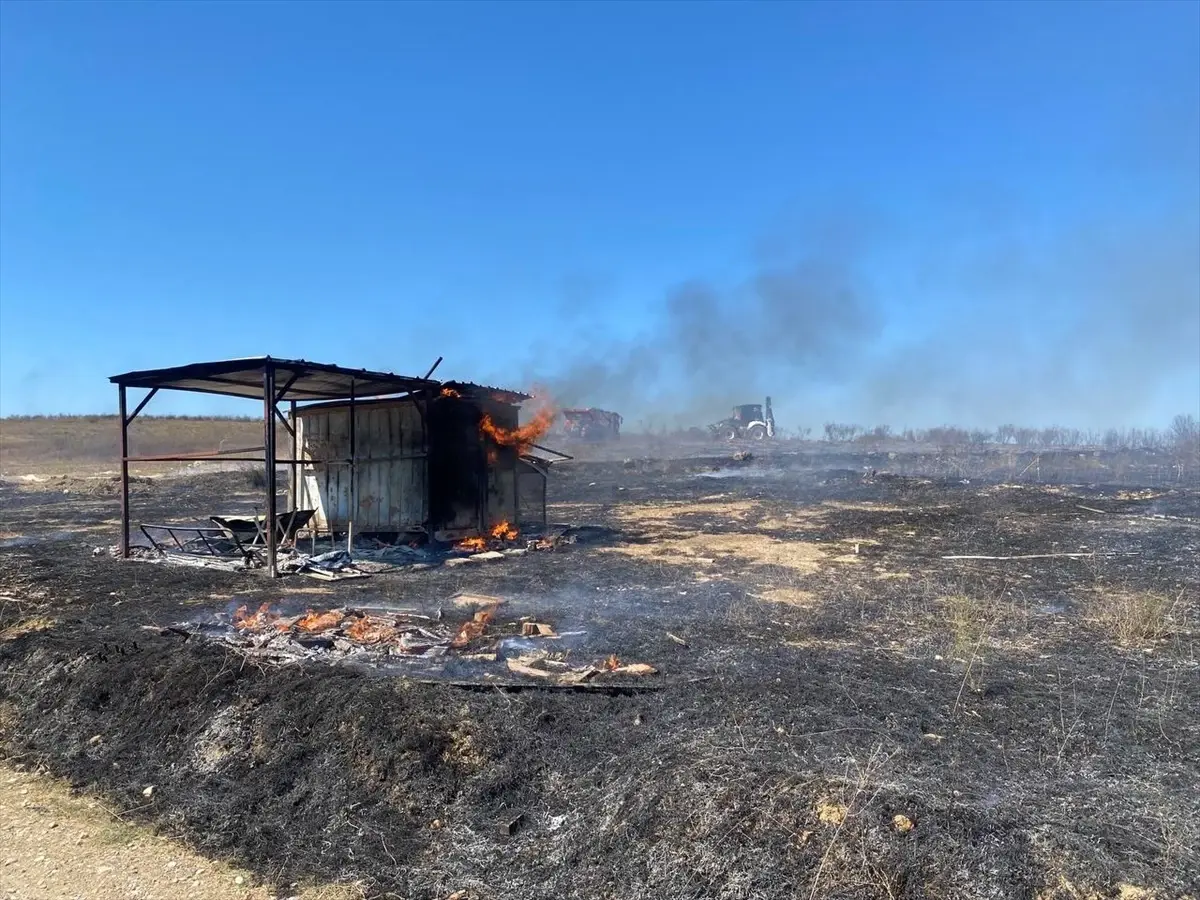 serikte guvercin kulubesinde yangin T5OnXRFq