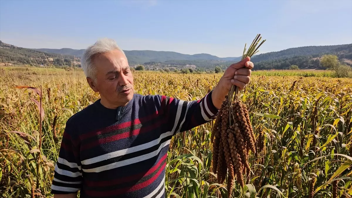 sindirgida daldari hasadi basladi X3G2zCJ7.jpg