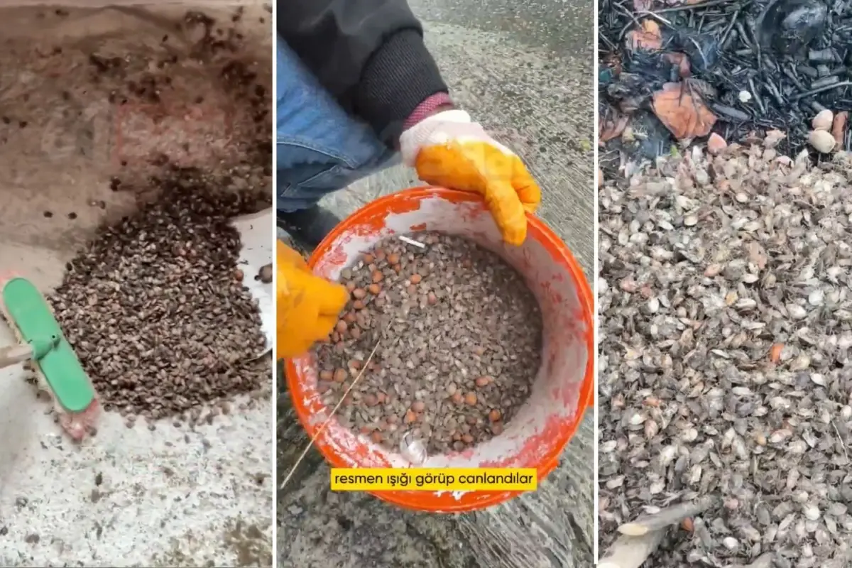 turkiyenin oteki gundemi son virajdayiz diyen vatandastan endiselendiren sozler OrrcLscv.jpg