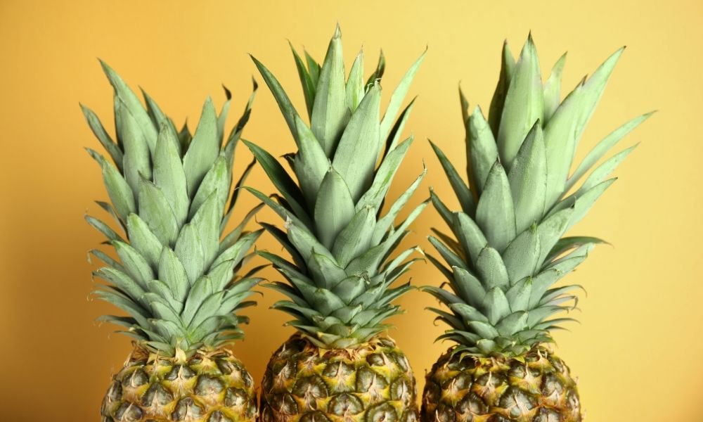 Ananas ve kilo kontrolü
