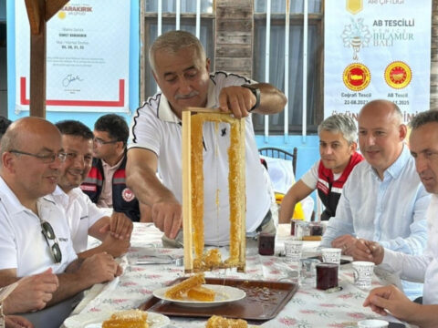Haber gorseli